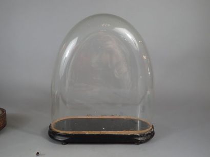 null Globe en verre sur son socle en bois (H: 45cm, L: 40cm).
On y joint deux socles...