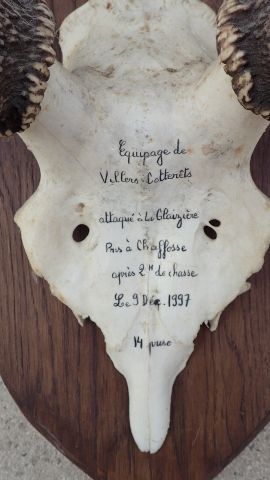 null Massacre de cerf 12 cors Equipage Villers Cotterêts le 9 décembre 1997.