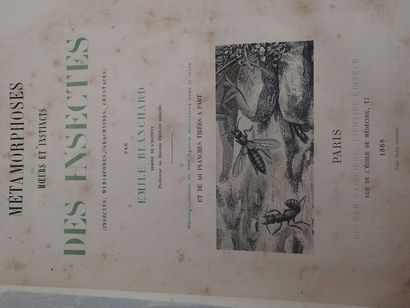 null Edouard BLANCHARD. "Métamorphoses des insectes". Paris, Germer Baillière, 1868....