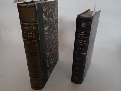 null Lot de deux volumes comprenant :
- A. D'ARCHIAC. "Paléontologie de la France"....