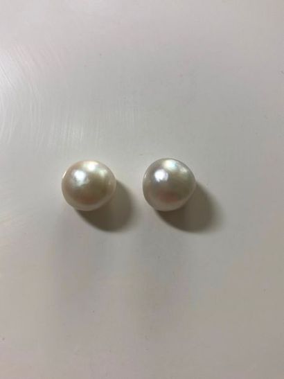Deux perles Boutons sur papier