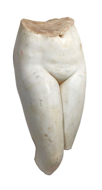 Fragment de torse de Venus anadyomène.