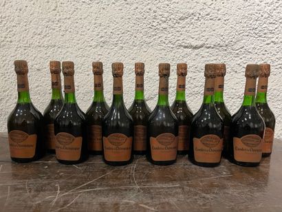 12 bouteilles Champagne Taittinger Comtes...