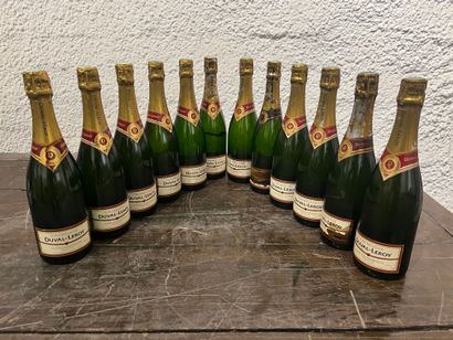 12 bouteilles Champagne Duval-Leroy Fleur...