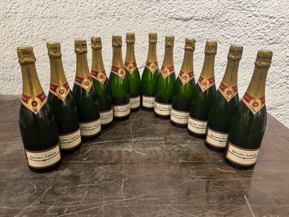 12 bouteilles Champagne Duval-Leroy Fleur...