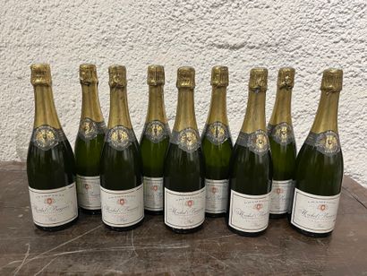 9 bouteilles Champagne Michel Baujean Tradition...