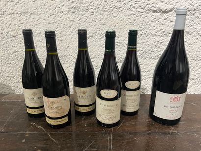 null 6 bouteilles 1 magnum Bourgogne Pinot Noir La Jumalie 2016 Henri Darnat, étiquette...