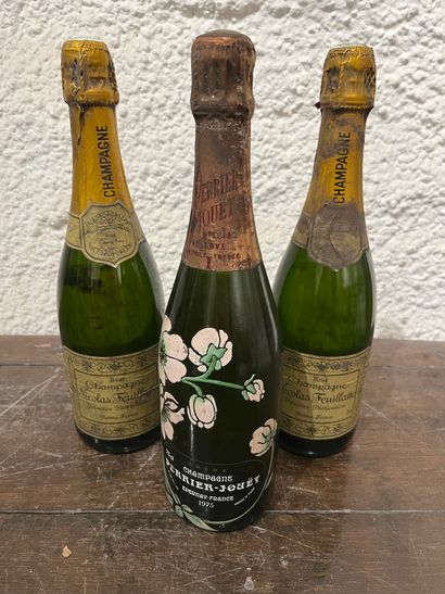 null 3 bouteilles 1 bouteille Champagne Perrier Jouët 1975, jupe très tachée.
2 bouteilles...