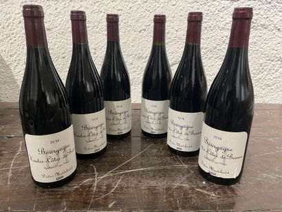 null 6 bouteilles Bourgogne Hautes Côtes de Beaune 2016 Didier Montchavet, étiquettes...