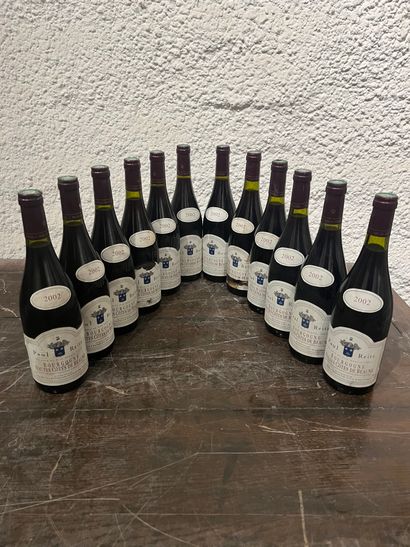 null 12 bouteilles Bourgogne Hautes Côtes de Beaune 2002 Paul Reitz, étiquettes et...