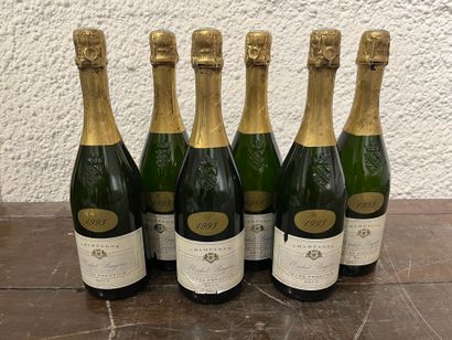 null 6 bouteilles Champagne Michel Baujean Cuvée Prestige 1993 brut, étiquettes légèrement...