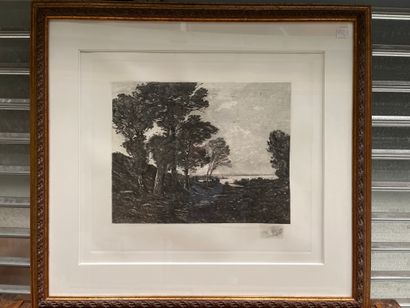 null HARPIGNIES
The trees, 1904
Engraving signed in the plate
61 x 70 cm (view)