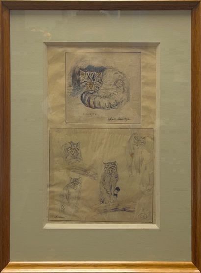 null ÉDOUARD PAUL MÉRITE (1867-1941)
Wild cats
Four drawings and watercolors on paper.
Titled...