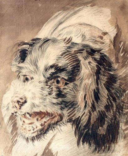 JEAN BAPTISTE HUET (Paris 1745 - 1811) Etude de tête de chien Crayon noir, sanguine...