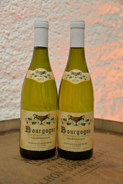 null 2 Bouteilles Bourgogne Chardonnay 2010, Domaine Coche Dury.