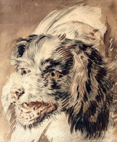 JEAN BAPTISTE HUET (Paris 1745 - 1811) Etude de tête de chien
Crayon noir, sanguine...