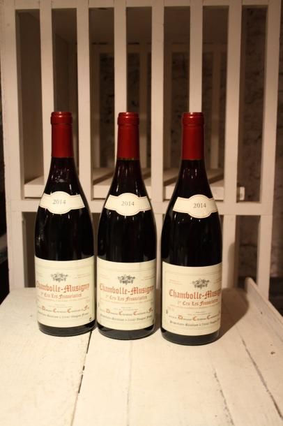 3 bouteilles

Chambolle Musigny 1er Criu...