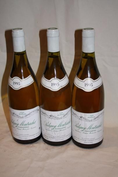 3 bouteilles

Puligny Montrachet Les Enseignères...