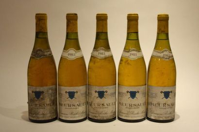5 bouteilles

Meursault 1983 Domaine Berthe...