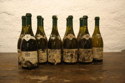 12 bouteilles

Puligny Montrachet 1er Cru...