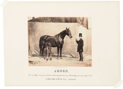 ADRIEN TOURNACHON Adrien Tournachon



1825-1903



Junon, 2ème prix des juments,...