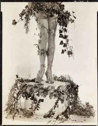 Cecil Beaton Cecil Beaton 

1904-1980



Legs and flowers, années 1930

Tirage argentique...