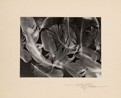 Willy Zielke Willy Zielke

1902-1989



Photogramme (plumes), circa 1930

Tirage...