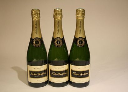 3 bouteilles

Champagne Nicolas Feuillatte...