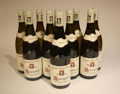 10 bouteilles

Meursault Les Forges Dessus...