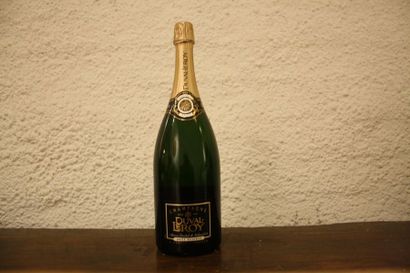 1 magnum

Champagne Duval Leroy brut Rés...