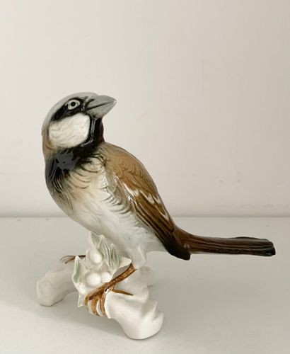 null SAXE, MANUFACTURES de Karl ENS 

Deux oiseaux en porcelaine polychrome 

Marqués...