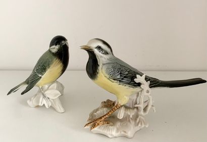 null SAXE, MANUFACTURE de Karl ENS

Deux oiseaux en porcelaine polychrome 

Marqués...
