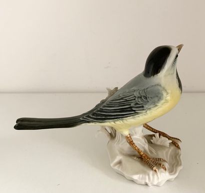 null SAXE, MANUFACTURE de Karl ENS

Deux oiseaux en porcelaine polychrome 

Marqués...