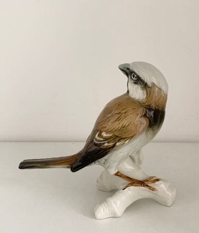 null SAXE, MANUFACTURES de Karl ENS 

Deux oiseaux en porcelaine polychrome 

Marqués...