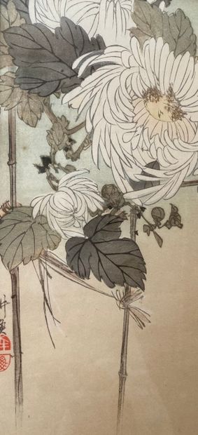 null TSUKIOKA KOGYO (1869-1927) 

Volatile dans des branchages fleuris 

Estampe...