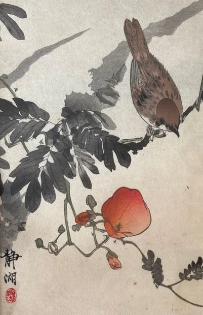 null OKUHARA SEIKO (1837-1913) 

Volatile dans des branchages fleuris 

Estampe japonaise,...