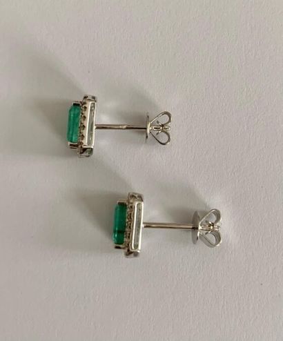 null PAIRE DE BOUTONS D'OREILLES

En or gris 18K (750 millièmes), chacun serti d'une...