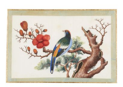 null ÉCOLE FRANÇAISE DU DÉBUT DU XIXe SIÈCLE

OISEAUX SUR DES BRANCHES

Six gouaches...