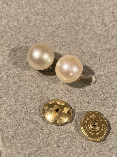 null PAIRE DE BOUTONS D'OREILLES

En or jaune 18K (750 millièmes), ornés d'une perle...