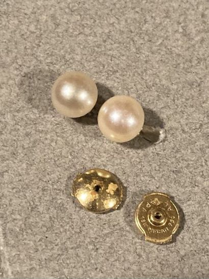 null PAIRE DE BOUTONS D'OREILLES
En or jaune 18K (750 millièmes), ornés d'une perle...