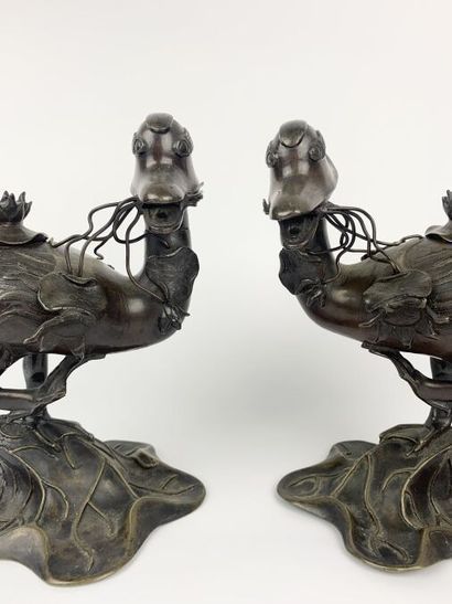 null CHINE - XIXe siècle
Paire de canards en bronze à patine brune formant brûle-parfum,...