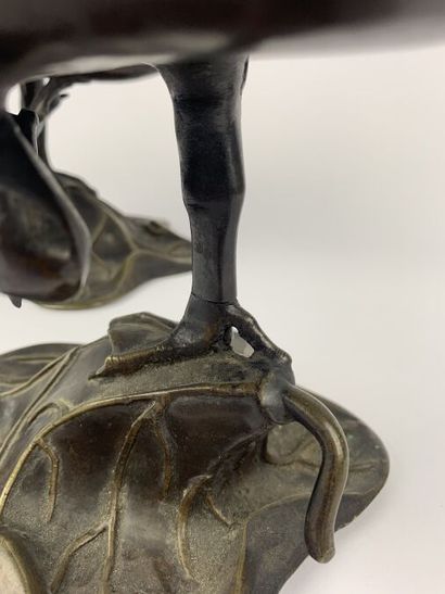 null CHINE - XIXe siècle
Paire de canards en bronze à patine brune formant brûle-parfum,...