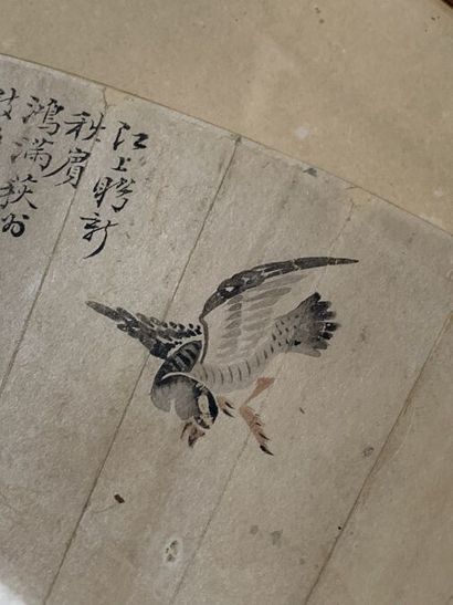 null CHINE - XXe siècle
Eventail, encre sur papier, trois canards près des roseaux....