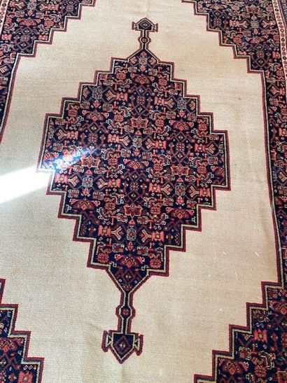 null TAPIS SENNEH (chaîne et trame en coton, velours en laine)
Nord-ouest de l'Iran,...