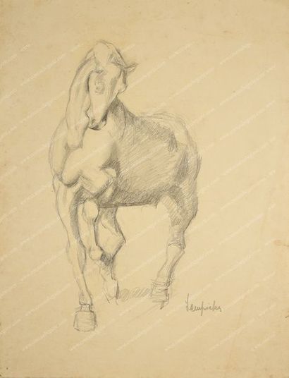 LEMPICKA de Tamara (1898-1980). 
Cheval.
Dessin à la mine de plomb, sur papier, signé...