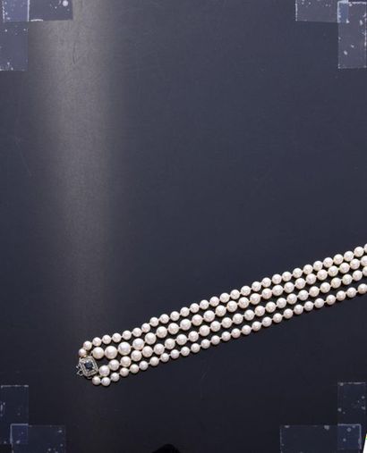 Long necklace of falling cultured pearls...