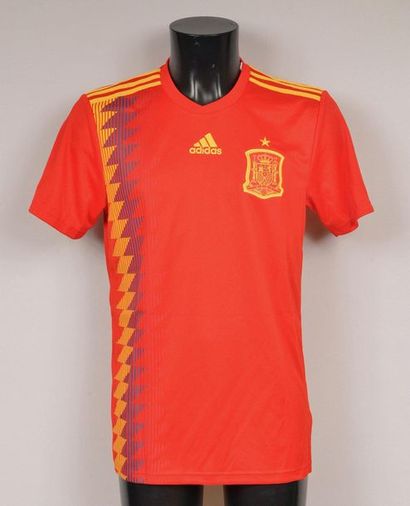 null Andrés Iniesta. Team Spain No. 6 jersey. Authenticated player's signature on...