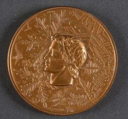 null GRENOBLE 1968. Médaille officielle de participant. En bronze. Graveur Coeffin....
