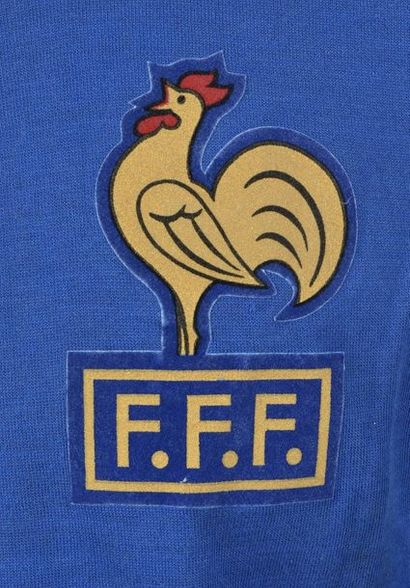 null Maillot N°2 de l'équipe de France Cadets porté pour la saison internationale...