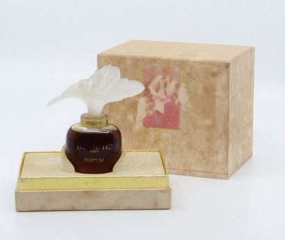 null Liz - "Liz's Liz" - (1990s)

Presented in its titled box (defraichi)

bottle...